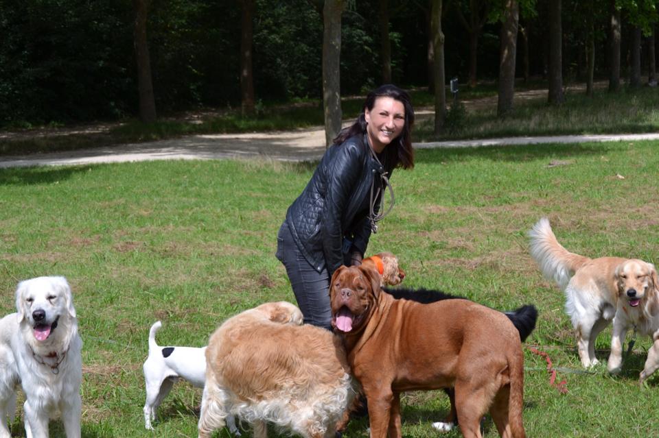 Faire promener son chien à Paris 11, Paris 12, Paris 20… Promenade Chien Paris et ValdeMarne