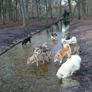 Promenades en groupe Promenades en groupe